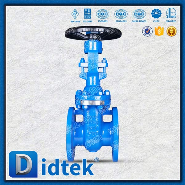 DIN GATE VALVE-DN65 ، WCB ، عجلة اليد ، شفة