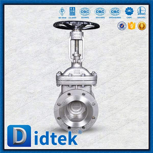 DIN GATE VALVE 1.4408 DN125 PN10