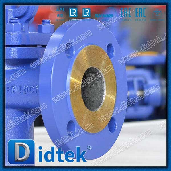 1.0619 SDNR Angle Globe Check Valve