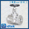 Din Globe Valve-DN50 1.4408 Hand Wheel Hlange