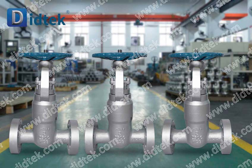 DISTEK CASTING Steel 2500lb WCB PSB GATE VALVE