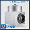 F91 F91 VENGED DN200 PN250 BW Swing Valve