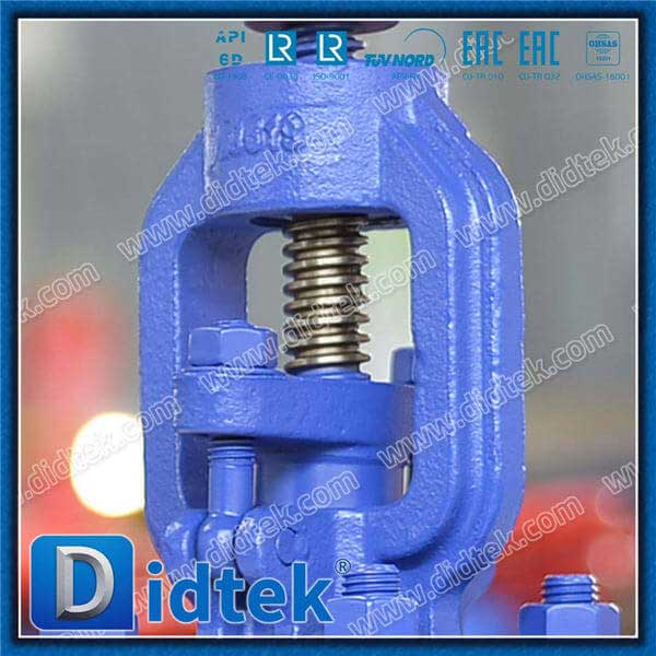 1.0619 SDNR Angle Globe Check Valve