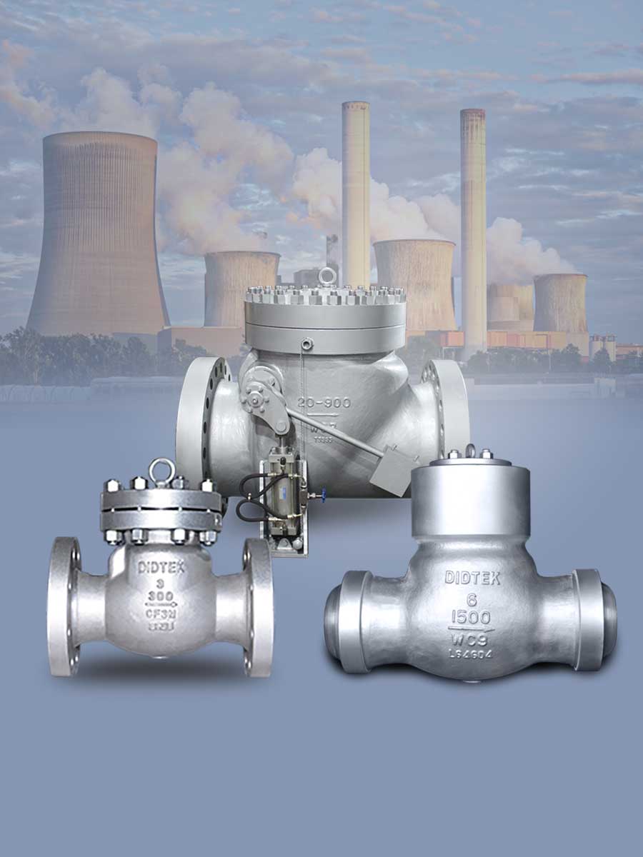 Check Valve فحص الصمام