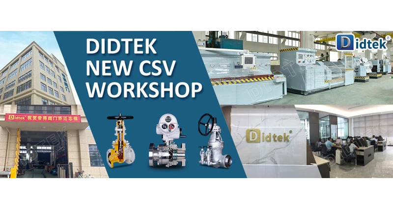 ورشة عمل CSV الجديدة DIDTEK 2020