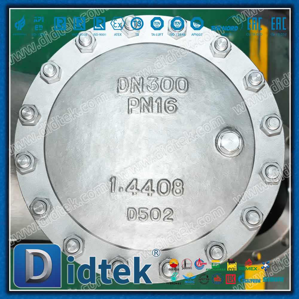 DIN EN 1.4408 Y مصفاة مع 80 شبكة