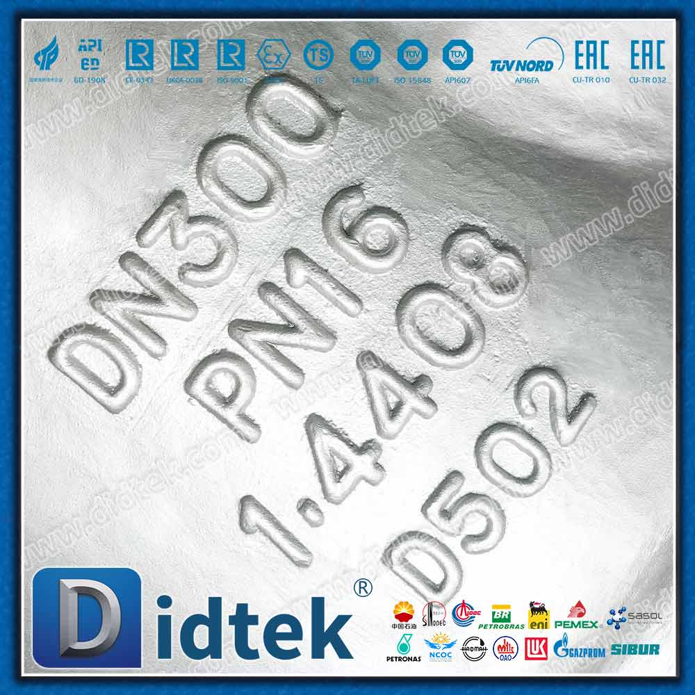 DIN EN 1.4408 Y مصفاة مع 80 شبكة